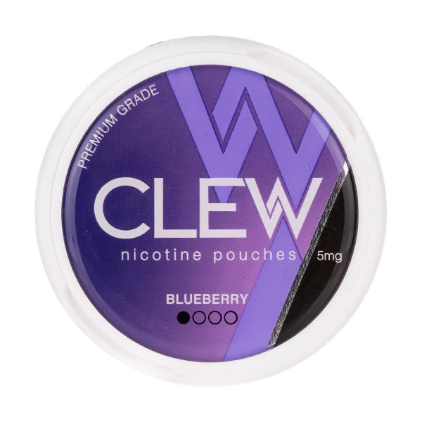 Blueberry Nicotine Pouches by Clew - Image 3